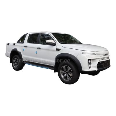 더블 캐빈 4x4 뉴 에너지 전기 픽업 라이트 트럭 5 좌석 앞뒤 쌍용 모터